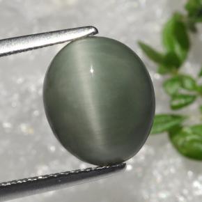 Quarzo Occhio di Gatto Verde naturale da 3.66 ct, Taglio ovale, Opaco