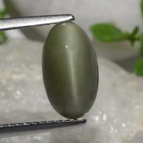 Quarzo Occhio di Gatto Verde naturale da 2.64 ct, Taglio ovale, Opaco