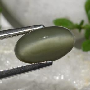 Quarzo Occhio di Gatto Verde naturale da 2.64 ct, Taglio ovale, Opaco