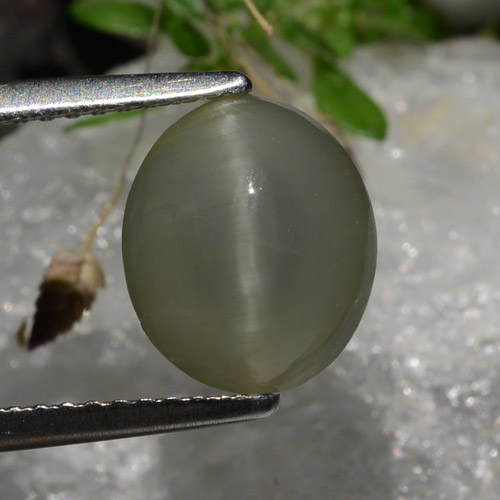 Quartz cat's eye naturale grigio da 2,99 ct, taglio ovale, traslucido