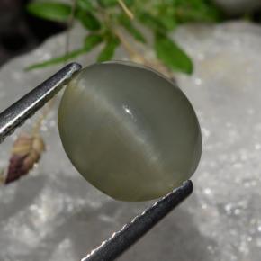 Quartz cat's eye naturale grigio da 2,99 ct, taglio ovale, traslucido