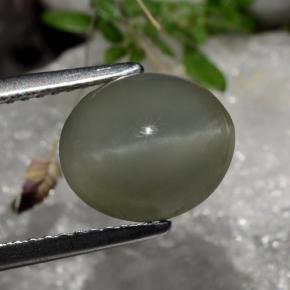 Quartz cat's eye naturale grigio da 2,99 ct, taglio ovale, traslucido