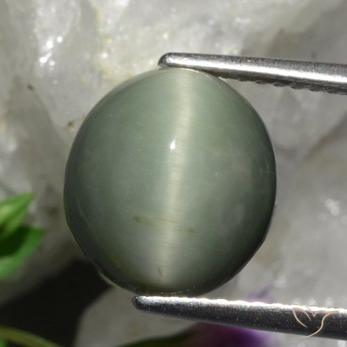 5.48ct Naturale Grigio medio Quarzo effetto occhio di gatto, Ovale, Opaco