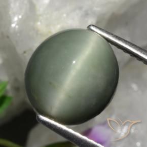 Quarzo Occhio di Gatto Grigio medio naturale da 5.48 ct, Ovale, Opaco