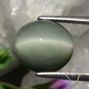 Quarzo Occhio di Gatto Grigio medio naturale da 5.48 ct, Ovale, Opaco