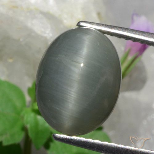 4.89ct Naturale Grigio medio Quarzo effetto occhio di gatto, Ovale, Opaco