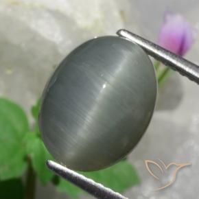 Quarzo Occhio di Gatto Grigio medio naturale da 4.89 ct, Ovale, Opaco
