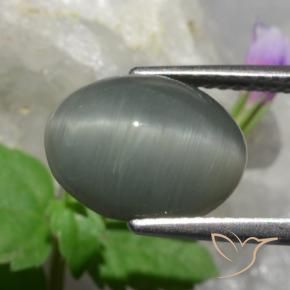 Quarzo Occhio di Gatto Grigio medio naturale da 4.89 ct, Ovale, Opaco
