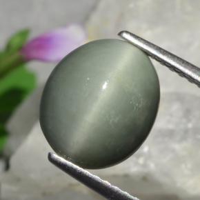 Quartz cat's eye naturale verde da 3,01 ct, taglio ovale, opaco