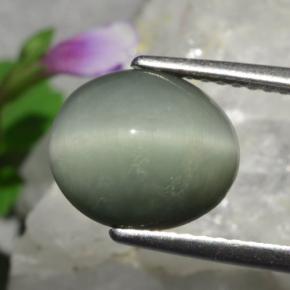 Quartz cat's eye naturale verde da 3,01 ct, taglio ovale, opaco