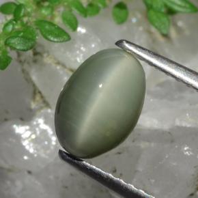 Quarzo occhio di gatto verde naturale da 1,78 ct, taglio ovale, opaco