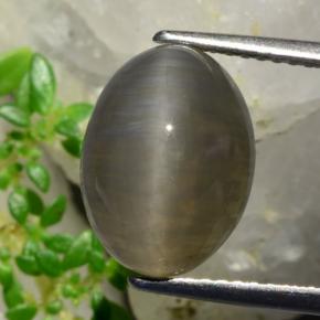 Quartz cat's eye naturale marrone da 5,37 ct, taglio ovale, traslucido