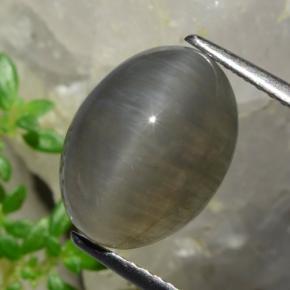 Quartz cat's eye naturale marrone da 5,37 ct, taglio ovale, traslucido
