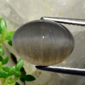 Quartz cat's eye naturale marrone da 5,37 ct, taglio ovale, traslucido