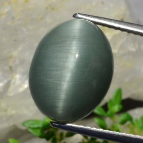 Quarzo occhio di gatto verde naturale da 8,20 ct, taglio ovale, opaco