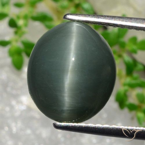 Quarzo Occhio di Gatto grigio verdastro naturale da 5.66 ct, Taglio ovale, Opaco