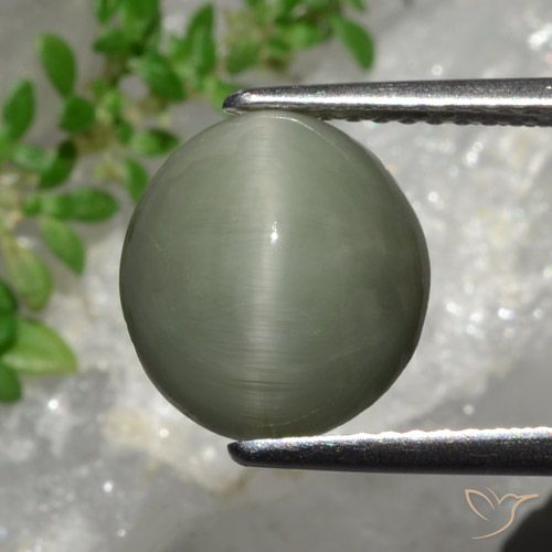 4.44ct Naturale Grigio verde Quarzo effetto occhio di gatto, Ovale, Opaco