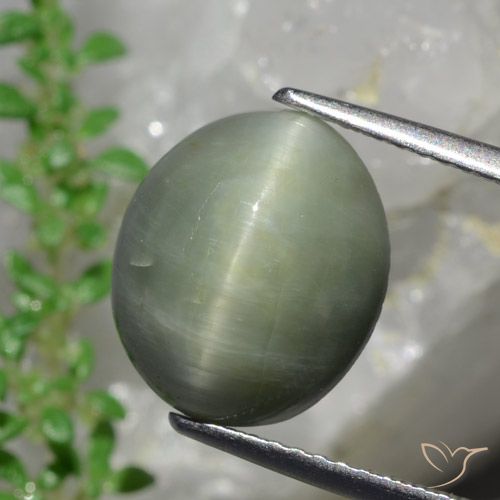 6.13ct Naturale Verde medio Quarzo effetto occhio di gatto, Ovale, Opaco