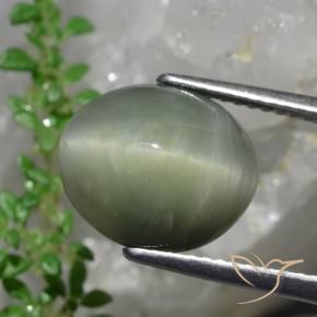 Quarzo Occhio di Gatto Verde medio naturale da 6.13 ct, Ovale, Opaco