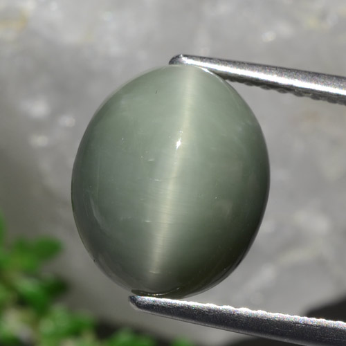 Quarzo occhio di gatto verde medio naturale da 5,84 ct, taglio ovale, opaco