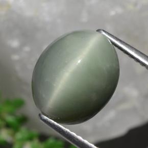 Quarzo occhio di gatto verde medio naturale da 5,84 ct, taglio ovale, opaco