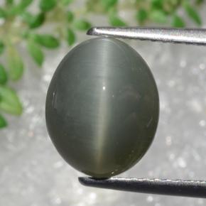 Quarzo Occhio di Gatto grigio verdastro naturale da 3.22 ct, Taglio ovale, Opaco