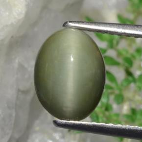 Quarzo Occhio di Gatto Verde naturale da 1.90 ct, Taglio ovale, Opaco
