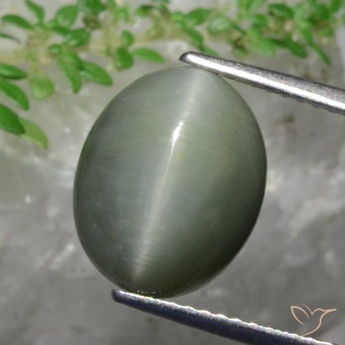 5.82ct Naturale Verde medio Quarzo effetto occhio di gatto, Ovale, Opaco