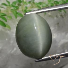 Quarzo Occhio di Gatto Verde medio naturale da 5.82 ct, Ovale, Opaco