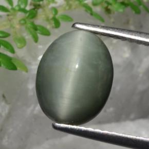 Quarzo Occhio di Gatto Verde naturale da 3.36 ct, Taglio ovale, Opaco