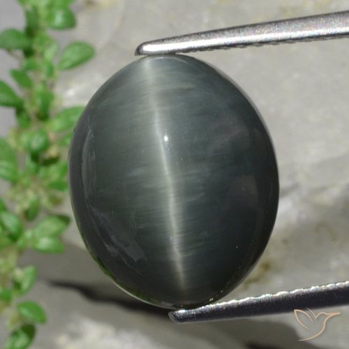 Quarzo Occhio di Gatto Grigio scuro naturale da 8.57 ct, Taglio ovale, Opaco