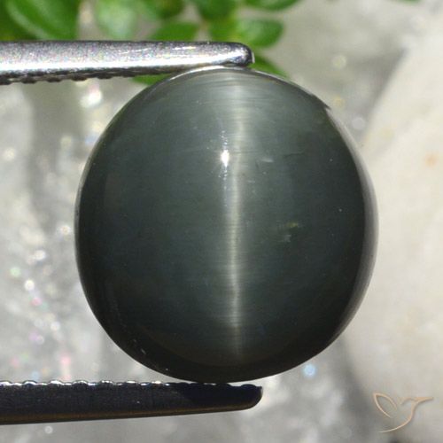 6.82ct Naturale Grigio scuro Quarzo effetto occhio di gatto, Ovale, Opaco
