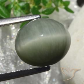 Quarzo Occhio di Gatto Grigio medio naturale da 4.18 ct, Ovale, Opaco