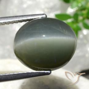 Quarzo Occhio di Gatto Grigio medio naturale da 7.44 ct, Ovale, Opaco