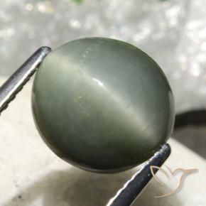 Quarzo Occhio di Gatto grigio verdastro naturale da 4.86 ct, Ovale, Opaco