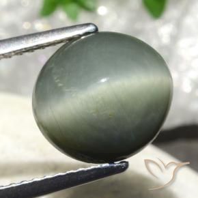Quarzo Occhio di Gatto grigio verdastro naturale da 4.86 ct, Ovale, Opaco