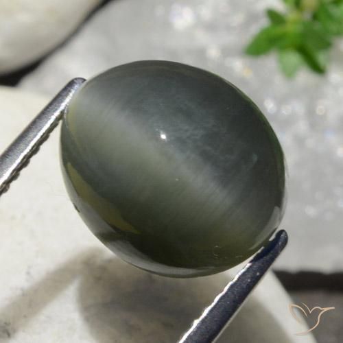 Quarzo Occhio di Gatto Grigio scuro naturale da 7.47 ct, Ovale, Opaco