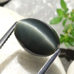 Quartz cat's eye naturale verde da 5,06 ct, taglio ovale, opaco