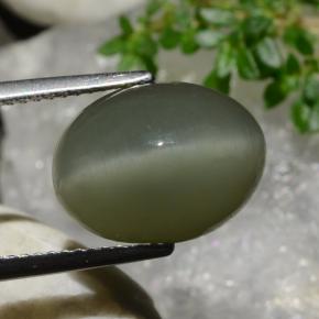 Quarzo Occhio di Gatto Verde caldo naturale da 9.03 ct, Taglio ovale, Opaco