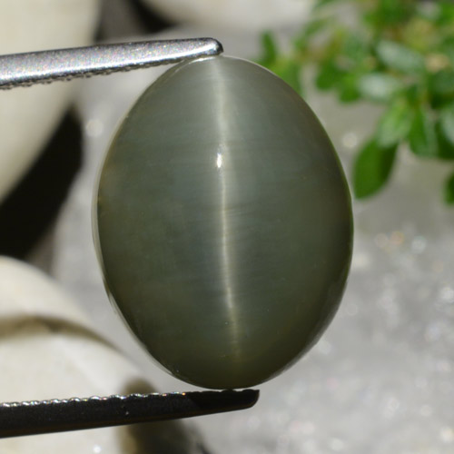 Quarzo Occhio di Gatto Verde caldo naturale da 8.34 ct, Taglio ovale, Opaco