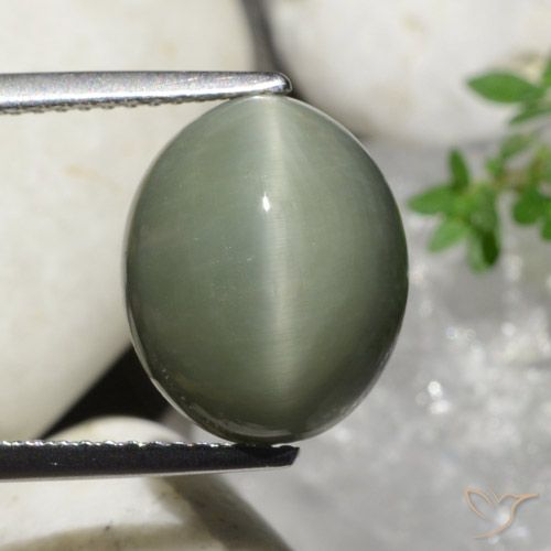 7.32ct Naturale Verde medio Quarzo effetto occhio di gatto, Ovale, Opaco
