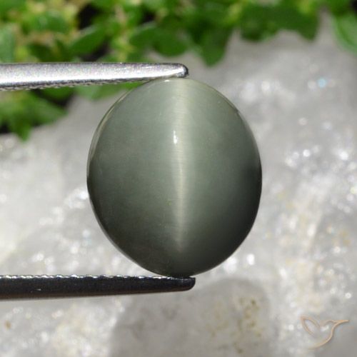 6.02ct Naturale grigio verdastro Quarzo effetto occhio di gatto, Ovale, Opaco