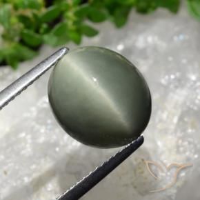 Quarzo Occhio di Gatto grigio verdastro naturale da 6.02 ct, Ovale, Opaco
