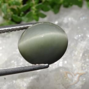 Quarzo Occhio di Gatto grigio verdastro naturale da 6.02 ct, Ovale, Opaco