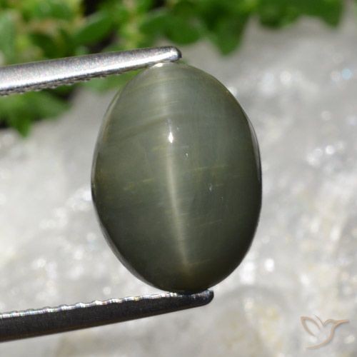 5.98ct Naturale Verde medio Quarzo effetto occhio di gatto, Ovale, Opaco