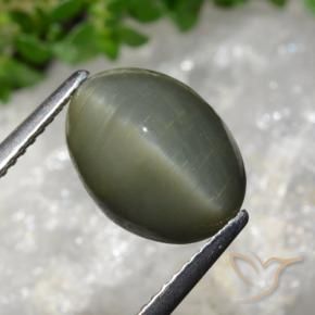 Quarzo Occhio di Gatto Verde medio naturale da 5.98 ct, Ovale, Opaco