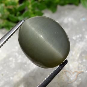 Quarzo Occhio di Gatto Grigio verde naturale da 8.13 ct, Ovale, Opaco