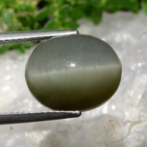 Quarzo Occhio di Gatto Grigio verde naturale da 8.13 ct, Ovale, Opaco