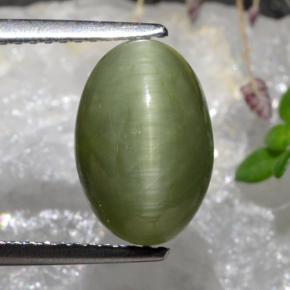 Quarzo Occhio di Gatto Verde medio naturale da 3.88 ct, Taglio ovale, Opaco