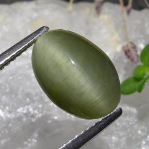 Quarzo Occhio di Gatto Verde medio naturale da 3.88 ct, Taglio ovale, Opaco